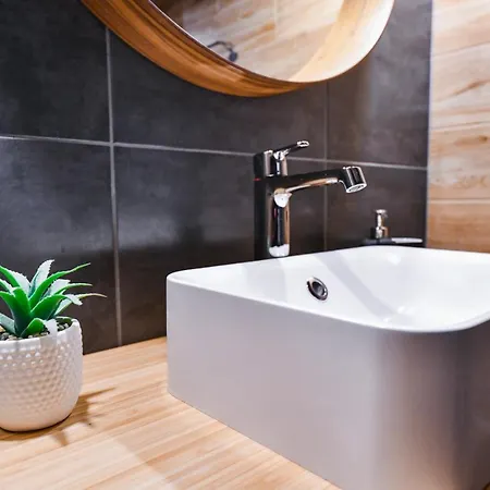 Rex Nest * Cluj-Napoca