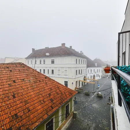 Appartement Rex Nest *